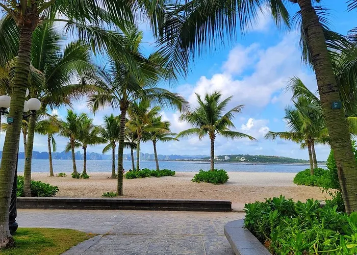 Căn hộ A La Carte Residences Căn Hộ 5 Stars Cạnh Biển